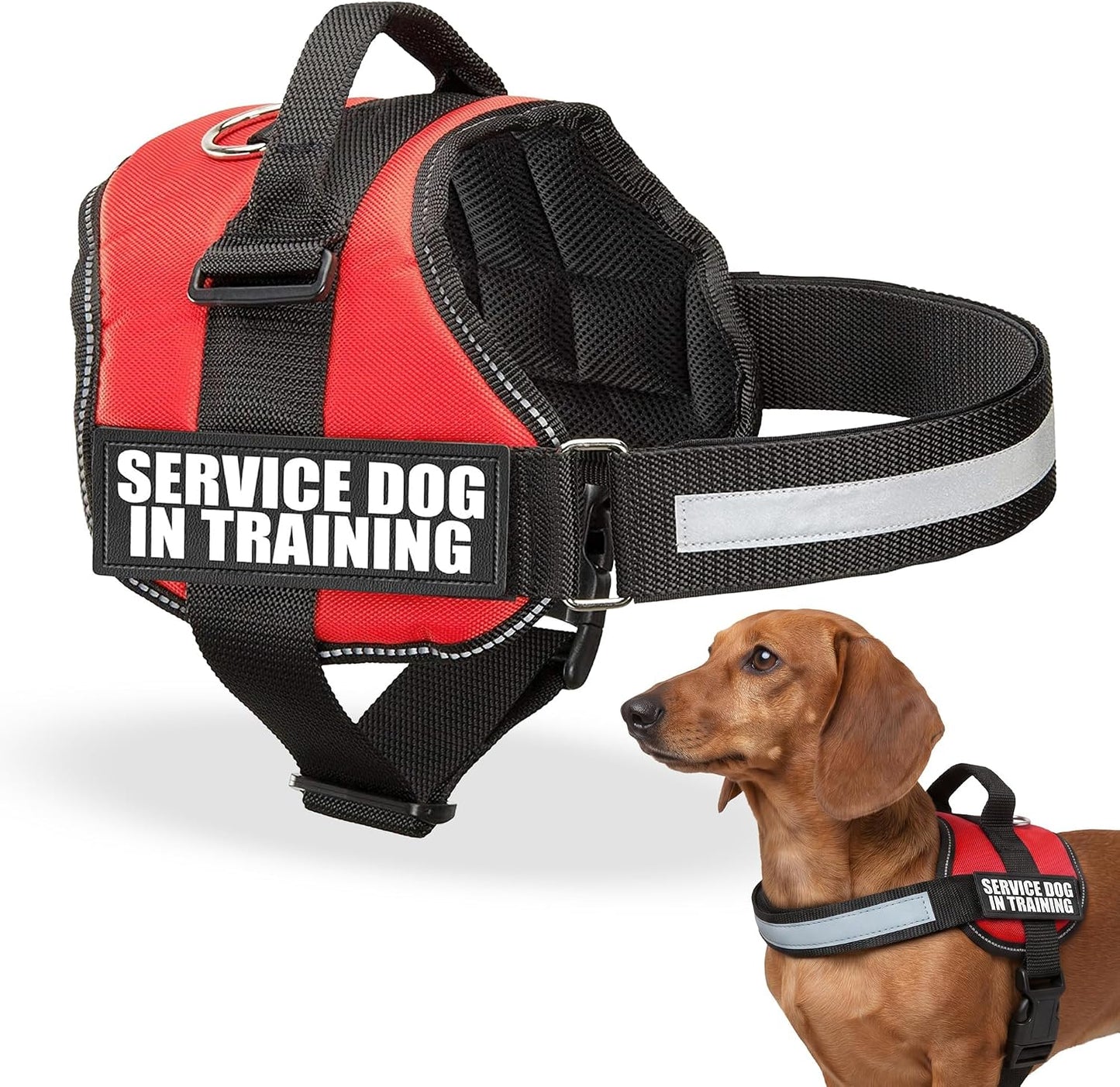 Service Dog in Training Vest Harness, XS 16.5-21.5 in Red | Durable & Adjustable Vest for Dog with Reflective Straps, Removable Patches, Handle & D-Ring, Travel and Daily Use