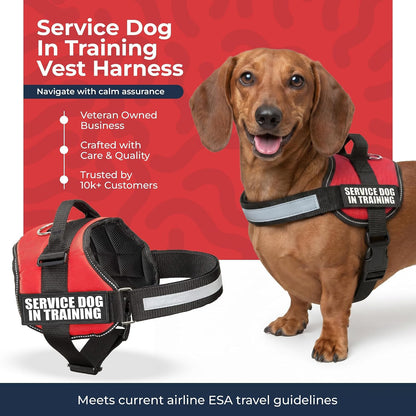 Service Dog in Training Vest Harness, XS 16.5-21.5 in Red | Durable & Adjustable Vest for Dog with Reflective Straps, Removable Patches, Handle & D-Ring, Travel and Daily Use